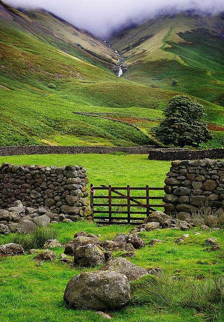 Irish Countryside