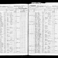 James McKeegan; 1855 Census